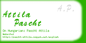 attila pascht business card